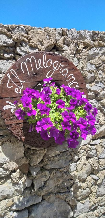 B&B Il Melograno Tortorella 外观 照片