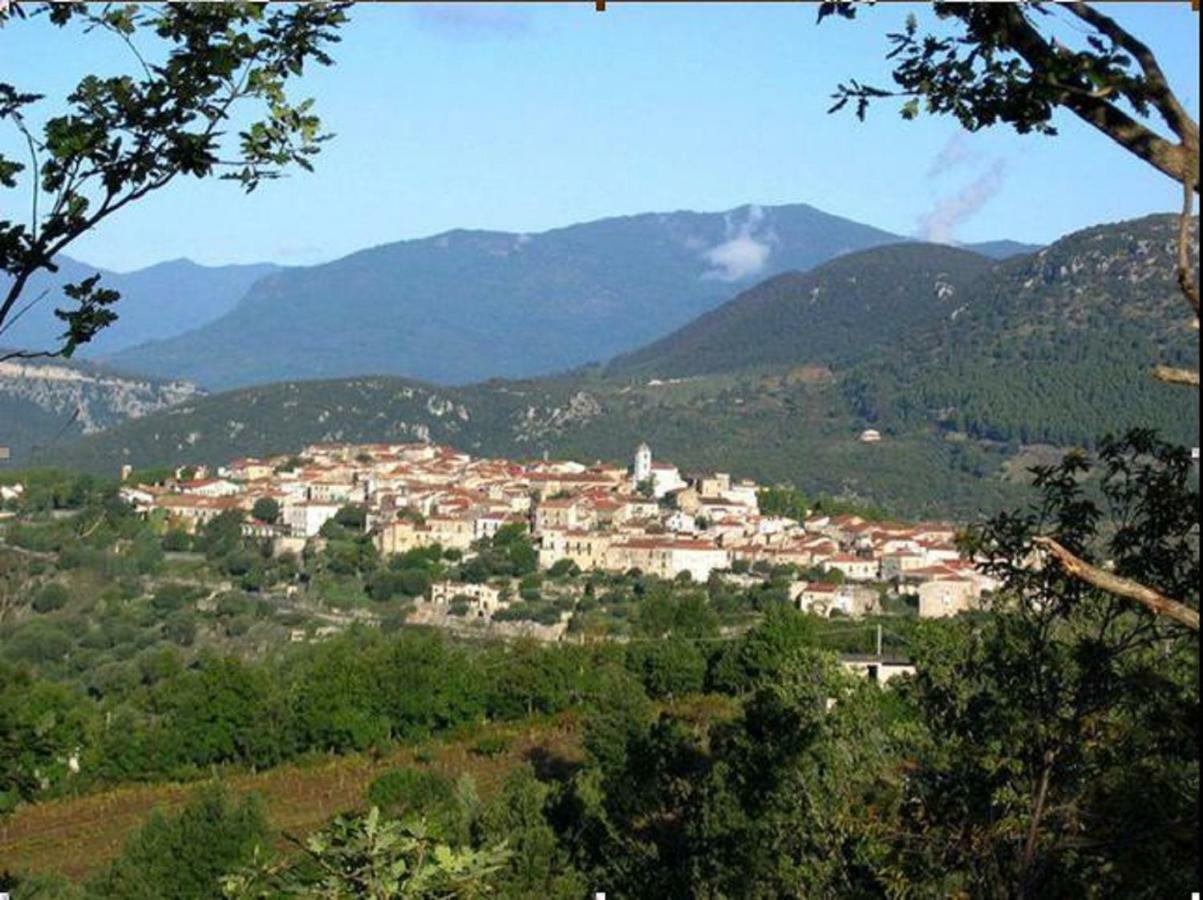 B&B Il Melograno Tortorella 外观 照片
