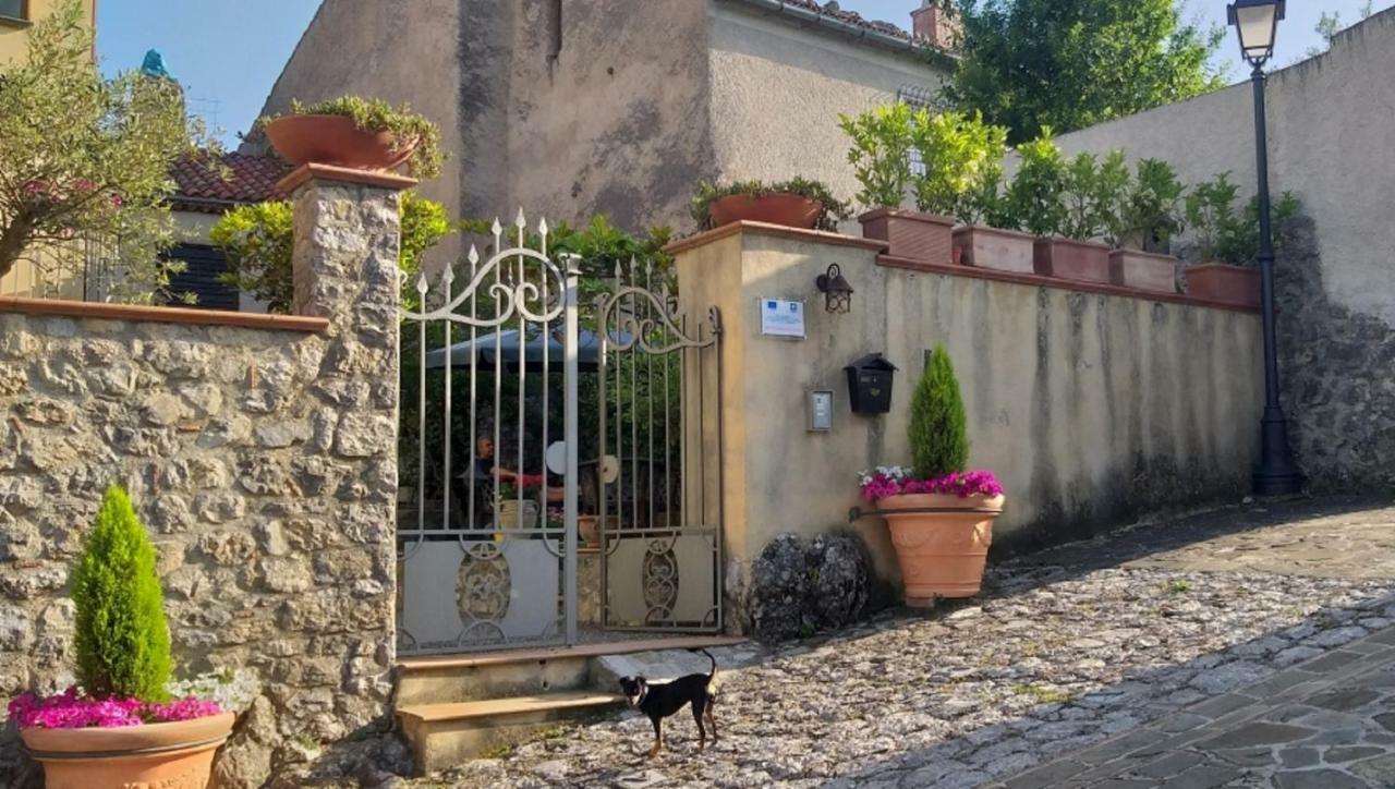 B&B Il Melograno Tortorella 外观 照片