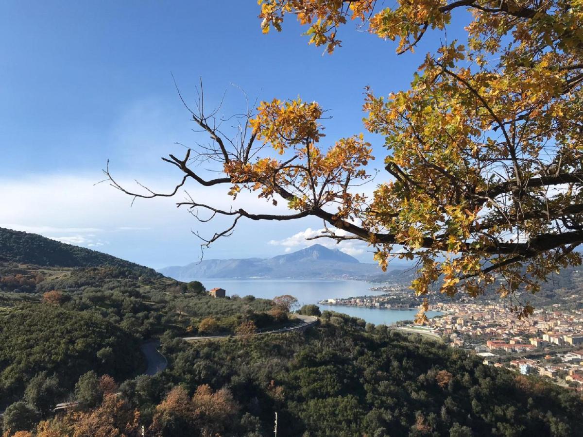B&B Il Melograno Tortorella 外观 照片